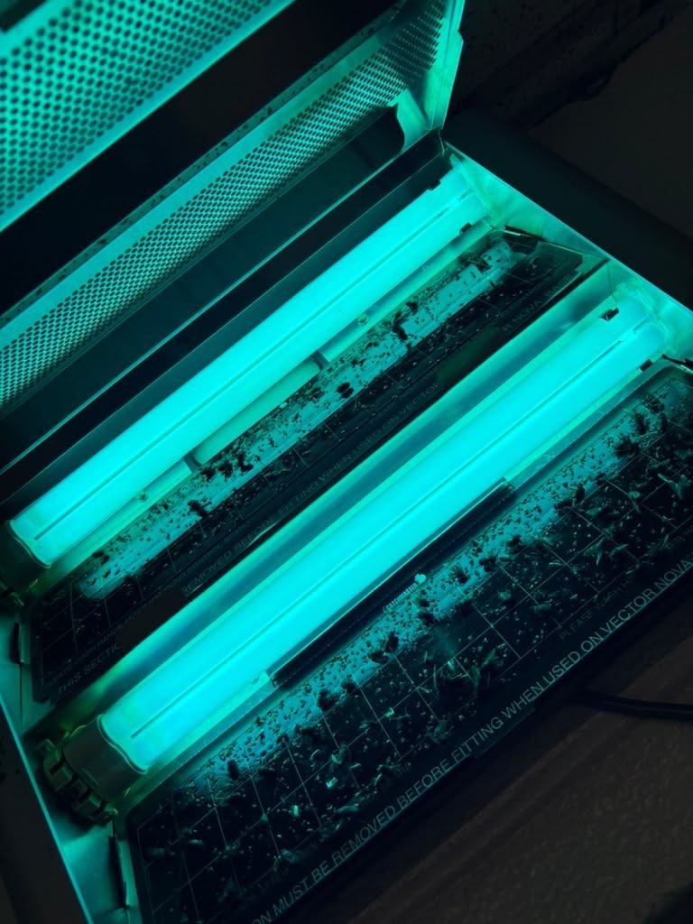 UV insect light trap loaded with catch after servicing a commercial account