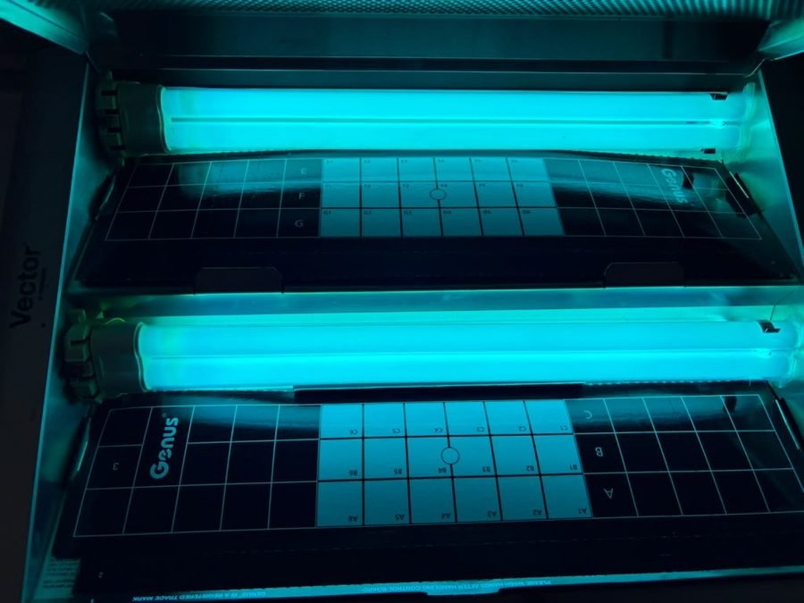 Commercial-grade UV insect light trap serviced by a Five Boroughs technician
